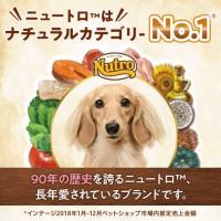 ＮＣ　超小型犬用　成犬用　チキン＆玄米　２ｋｇ