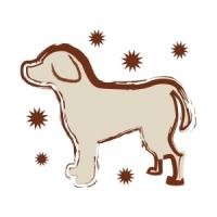 ＮＣ　ラム＆玄米　超小～小型犬用　成犬用　１ｋｇ