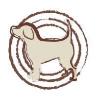 ＮＣ　ラム＆玄米　中型～大型犬用　エイジングケア　２ｋｇ