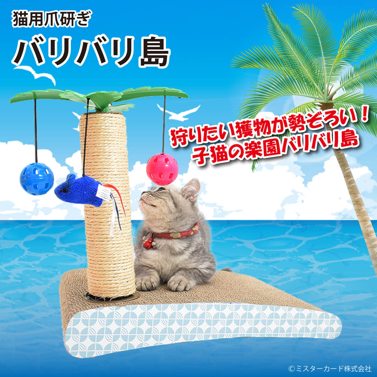 爪研ぎ　バリバリ島