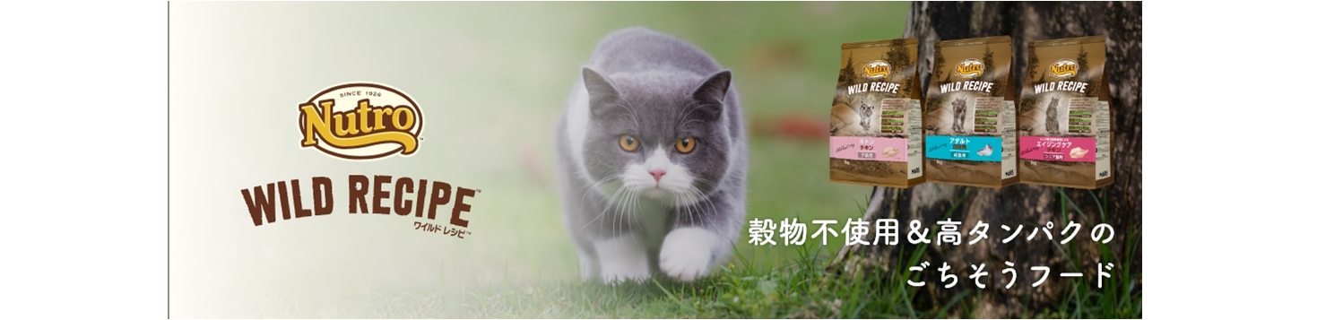 ワイルドレシピ