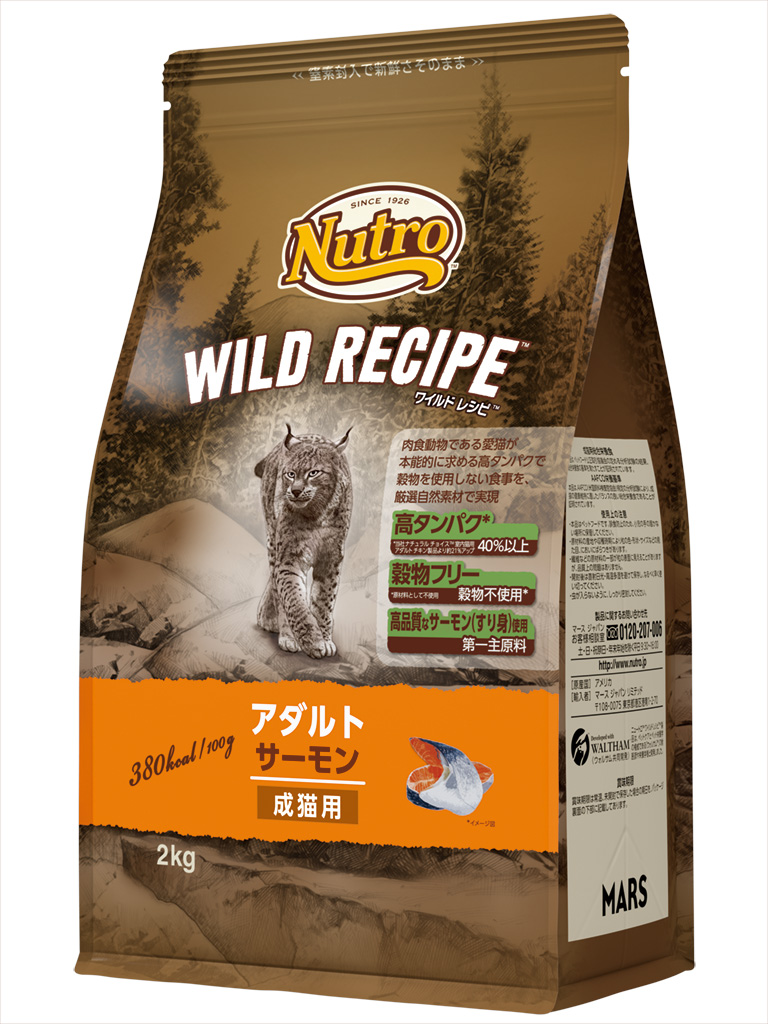 ワイルドレシピ猫　アダルトサーモン　２ｋｇ