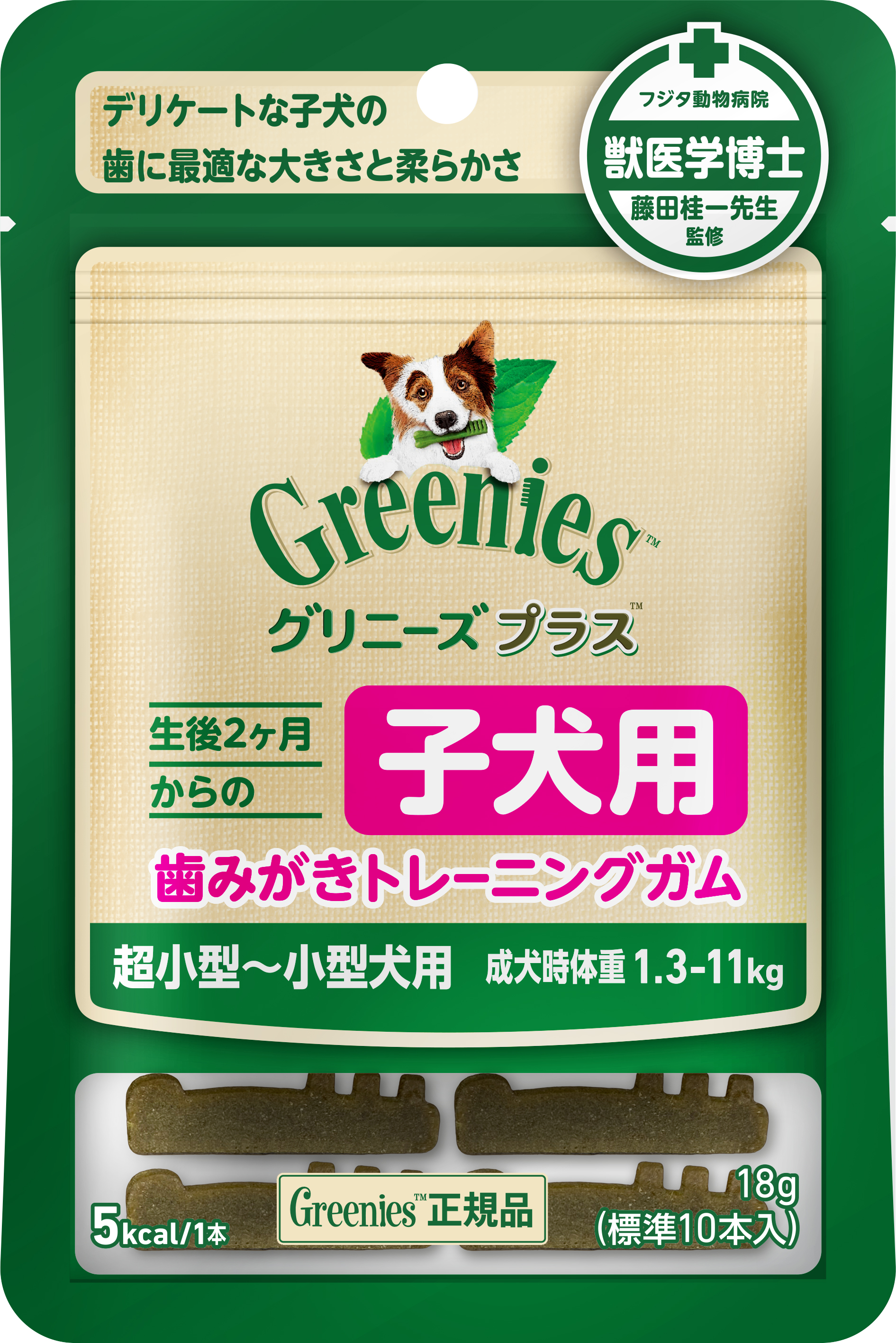 ＧＲプラス子犬用歯みがきトレーニング　１０Ｐ