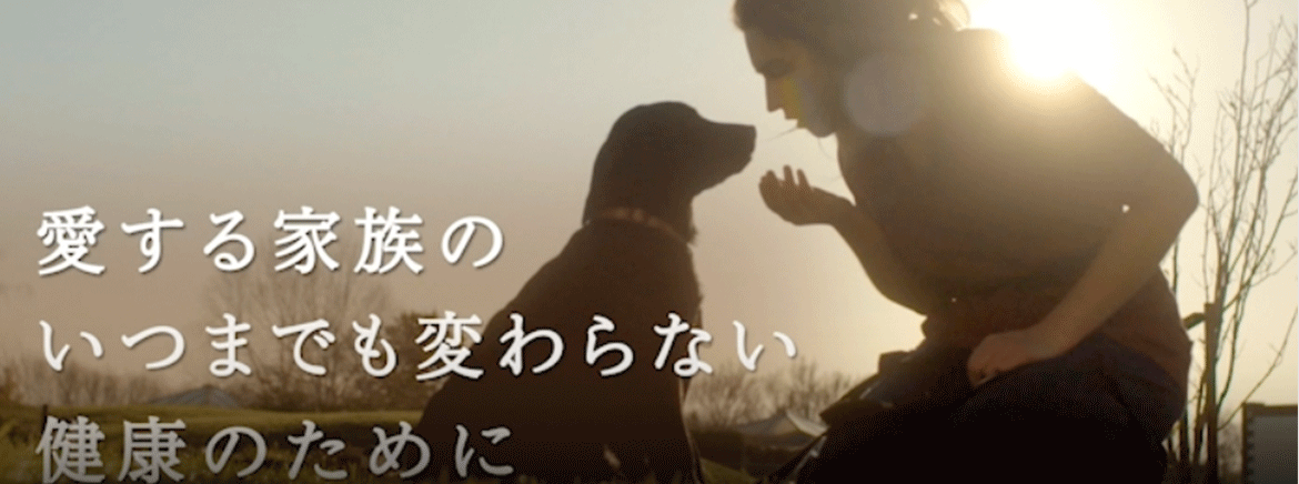 ニュートロプロダクト動画